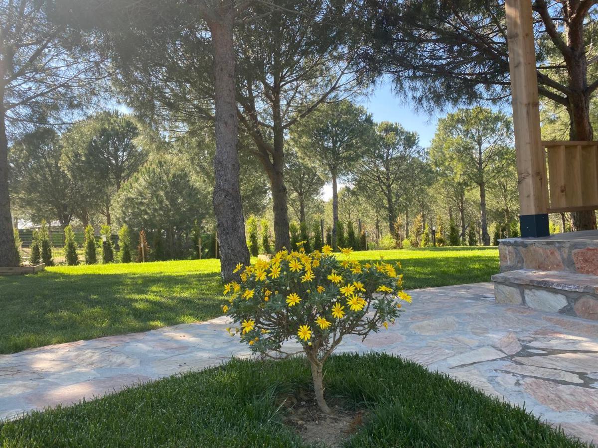 Elyada Otel Ve Bag Evi 8 Yas Ustu Bozcaada Esterno foto